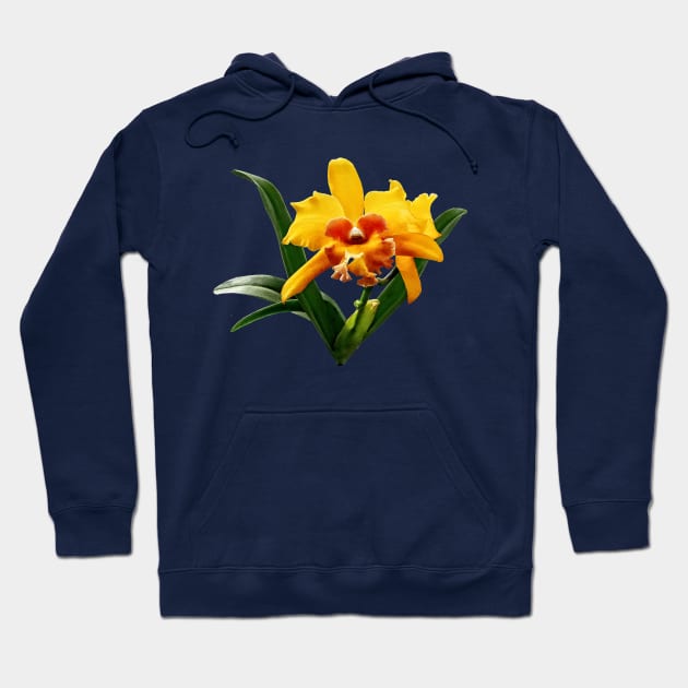 Orchids - Cattleya Orchid Orchidglade Hoodie by SusanSavad